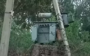 1000345738