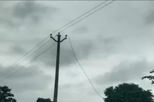 1000534294